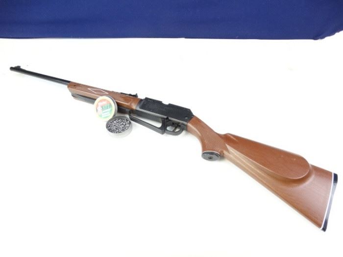 Daisy Pellet Gun