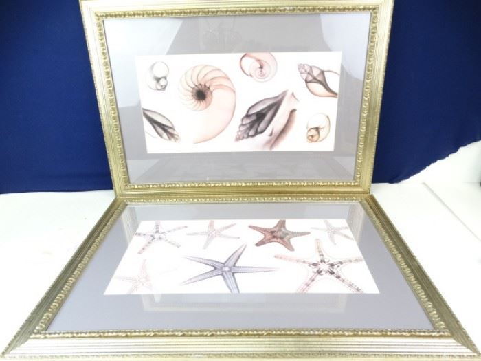 Beachhouse Art and Decor