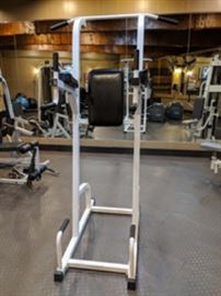ParaBody Serious Steel Vertical Knee Raise Machine