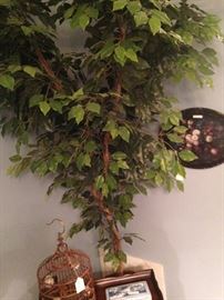 Artificial ficus