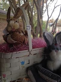 Bunnies waiting their turns