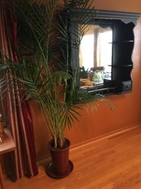 potted plant and hanging mirror - mirror measures 42"x 9" x 44" asking $100