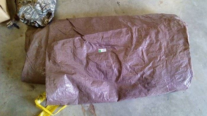 Tarp