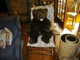 Vintage Rocker and a Realistic Plush Bear