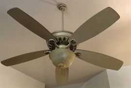 Ceiling Fan w Light Fixture