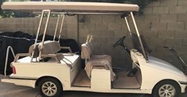 6 Seat Golf Cart Wester