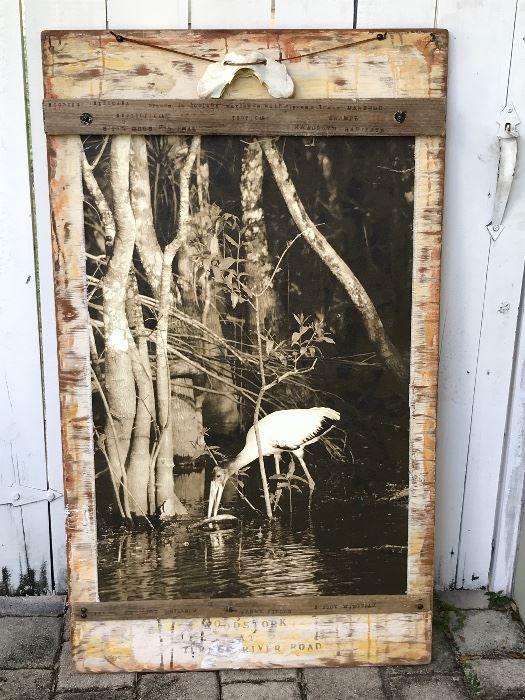 Artist Deborah Mitchell:  "Woodstork at Turner River Road" Photograph and Mixed Media