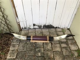 Bull Horns