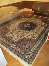 9 x 12 100% wool Pakistan rug