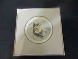 Sue Ellen Ross, 62 of 350, mallard up ended, framed.