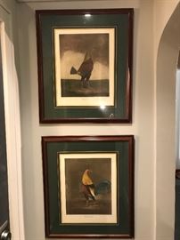 Large framed prints of roosters