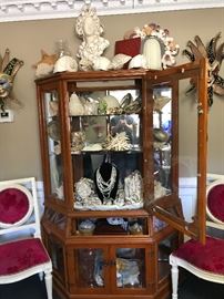 I display cabinet filled with shells of the ocean and the pearl jewelry