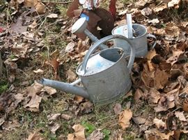 QUITE A FEW WATERING CANS.