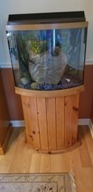 fish tank with filter ready for fish