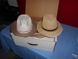 Pair of Mens Size 7 Summer Fedora Hats