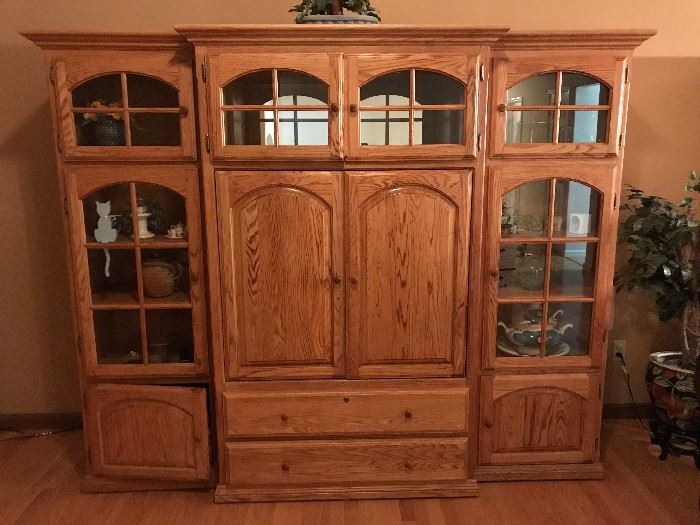 Wall Unit (Great Condition)
