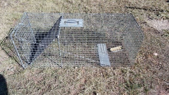 Small Rodent Trap approx 3'