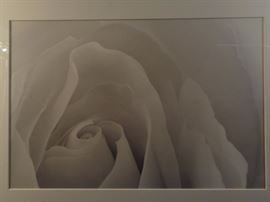 Don Saxton framed print