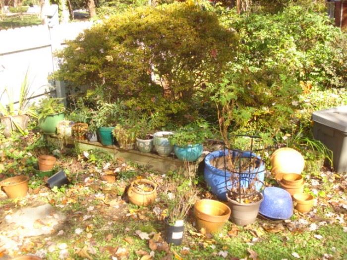 garden items, pots