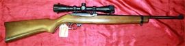 17 - Ruger 10/22 22 cal Rifle