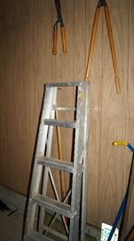 ladder, loppers