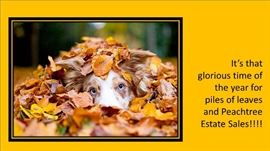 fall dog
