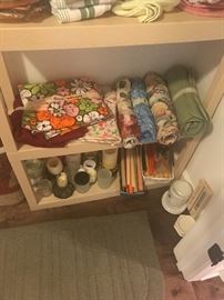 Closet in hallway - hand/kitchen towels & miscellaneous