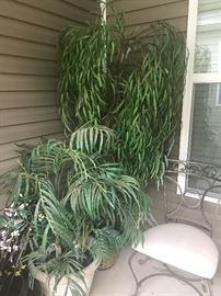 Artificial plants - on patio