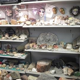 Rocks, minerals, fossils, dinosaur bones and Native Indian relics as well as many fine specimens of petrified wood.   