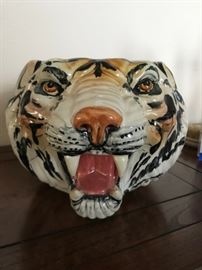 Italy Tiger