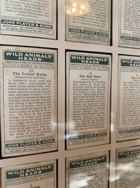 Framed collection of 1930’s John Player & Sons cigarette cards  
