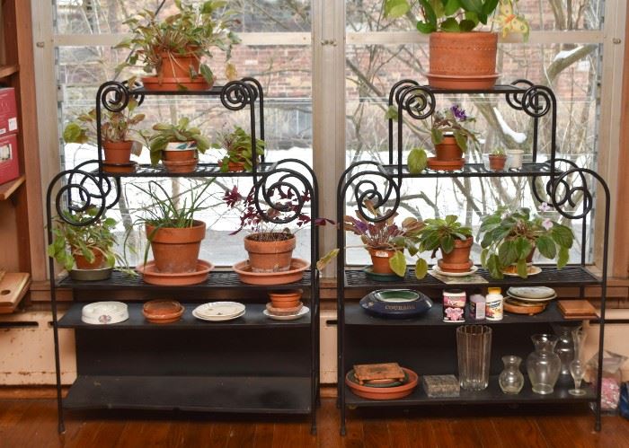 Iron Plant Stands, House Plants