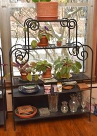 Iron Plant Stands, House Plants