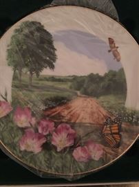 Royal Windsor “Wildflowers of the South” collector’s plates. There are 12 of these - never used and stored in boxes