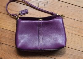 Small Coach Handbag