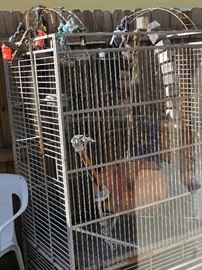 Large metal bird cage
