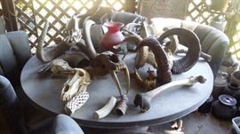 SKELETAL PIECES AND HORNS