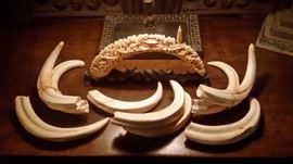 CARVED IVORY & WARTHOG IVORY TUSKS