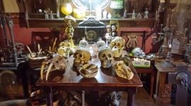 DAY OF THE DEAD, SKULLS...REAL GORILLA & ORANGATANG SKULLS