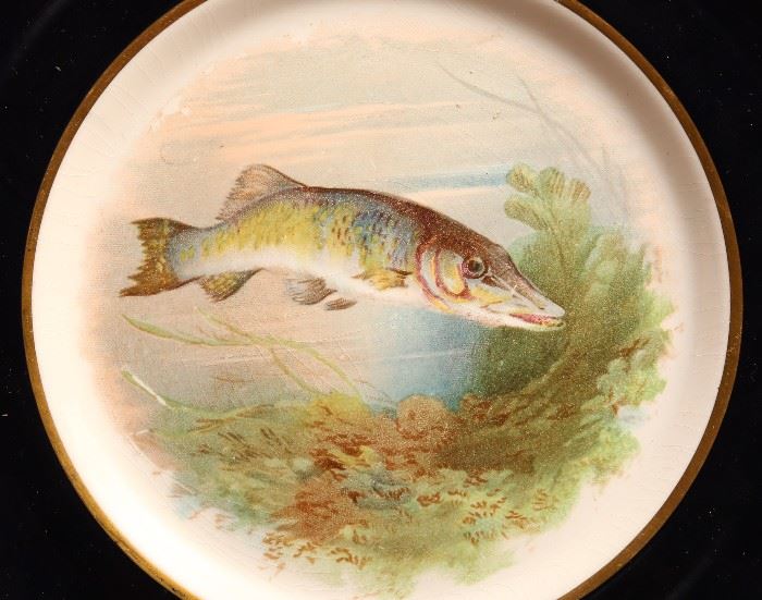 Closeup of one fish plate.