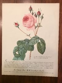 Lakeside Press print