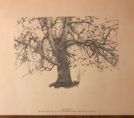 Print of Andrew Wyeth, "New Leaves"