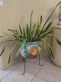 Plant in Large Pot on Stand