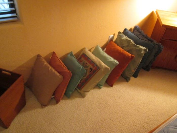 Nice Assortment of Throw Pillows