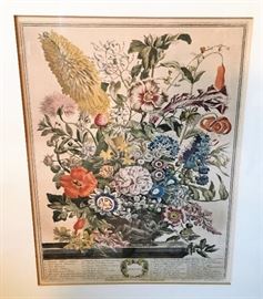 These botanical prints are copies of the 1730s originals by British artist, Robert Furber.