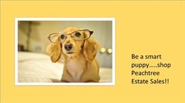 smart puppy