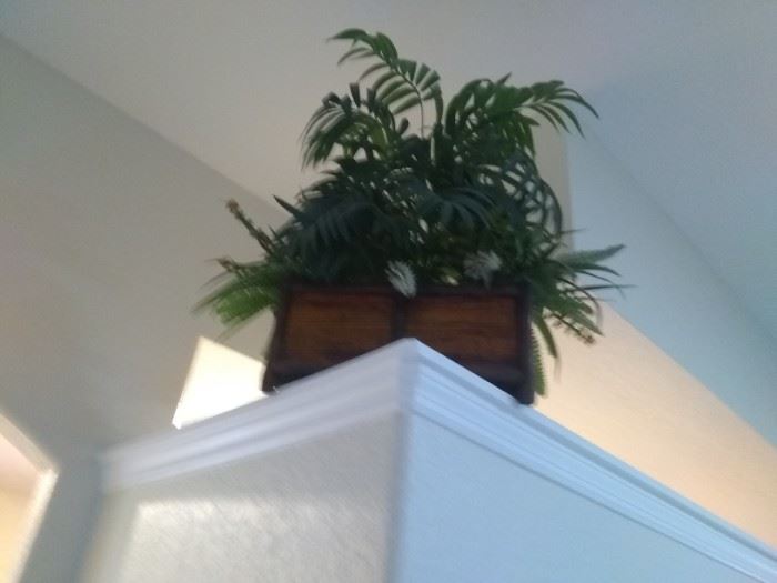 Large decorative plant $20