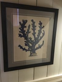 Botanical steel engraving
