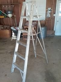 6ft Ladder