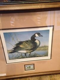 Unlimited Ducks framed prints (12659/17500)